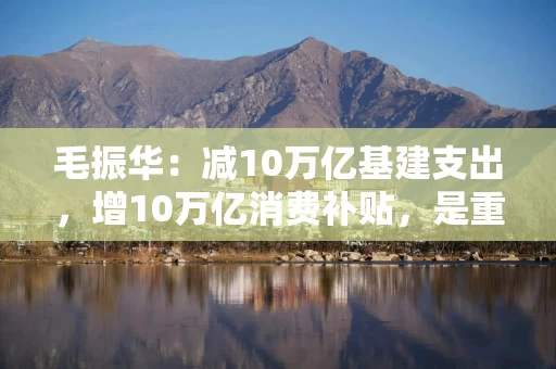 毛振华：减10万亿基建支出，增10万亿消费补贴，是重启中国经济复苏的关健