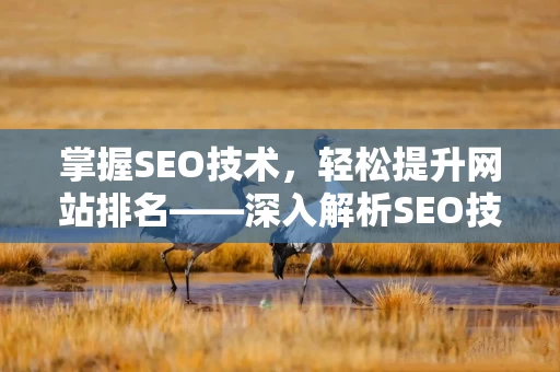 掌握SEO技术，轻松提升网站排名——深入解析SEO技术教学视频