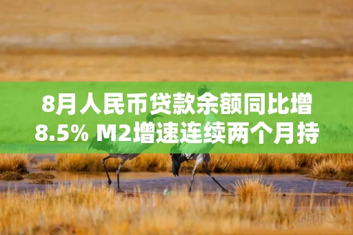 8月人民币贷款余额同比增8.5% M2增速连续两个月持平