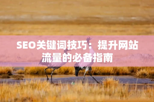 SEO关键词技巧：提升网站流量的必备指南