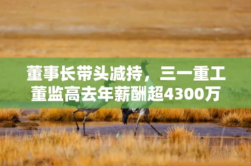 董事长带头减持，三一重工董监高去年薪酬超4300万元还“缺钱”？