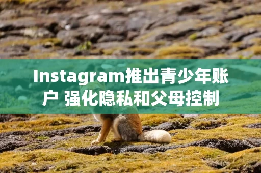 Instagram推出青少年账户 强化隐私和父母控制