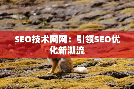 SEO技术网网：引领SEO优化新潮流