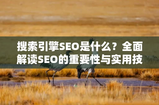 搜索引擎SEO是什么？全面解读SEO的重要性与实用技巧