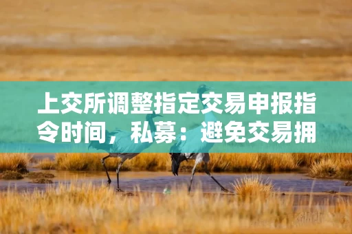 上交所调整指定交易申报指令时间，私募：避免交易拥堵，减轻瞬时接收数据的压力