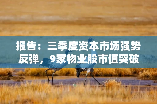 报告：三季度资本市场强势反弹，9家物业股市值突破100亿港元