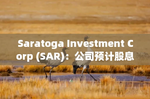 Saratoga Investment Corp (SAR)：公司预计股息为每股74美分，基于10月7日的股价股息收益率为12.7%