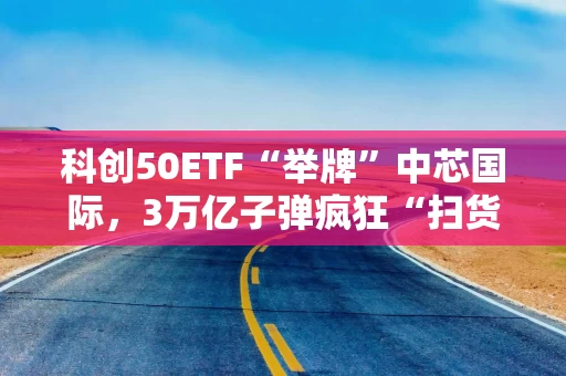 科创50ETF“举牌”中芯国际，3万亿子弹疯狂“扫货”A股！