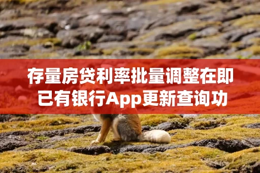 存量房贷利率批量调整在即 已有银行App更新查询功能