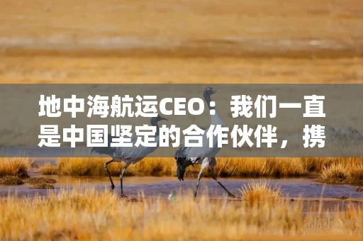 地中海航运CEO：我们一直是中国坚定的合作伙伴，携手应对去碳化等挑战