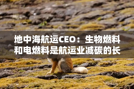 地中海航运CEO：生物燃料和电燃料是航运业减碳的长期解决方案