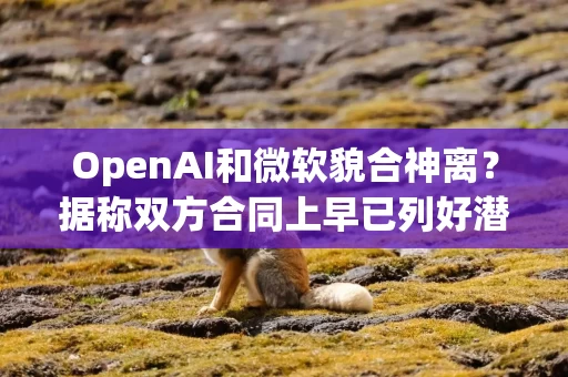 OpenAI和微软貌合神离？据称双方合同上早已列好潜在的“分手条款”