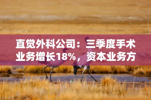 直觉外科公司：三季度手术业务增长18%，资本业务方面放置了379套系统，财务数据方面收入增长17%