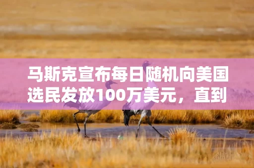 马斯克宣布每日随机向美国选民发放100万美元，直到大选日