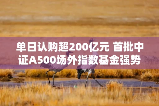 单日认购超200亿元 首批中证A500场外指数基金强势“吸金”