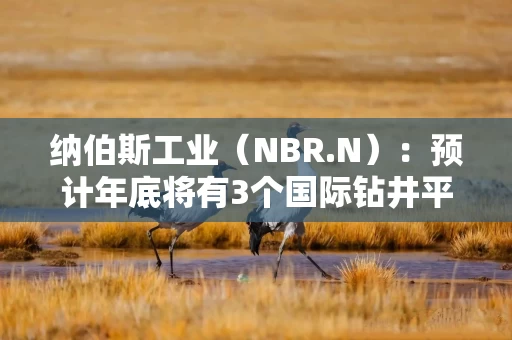 纳伯斯工业（NBR.N）：预计年底将有3个国际钻井平台开始运营