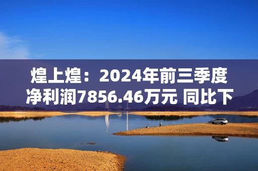 煌上煌：2024年前三季度净利润7856.46万元 同比下降22.12%