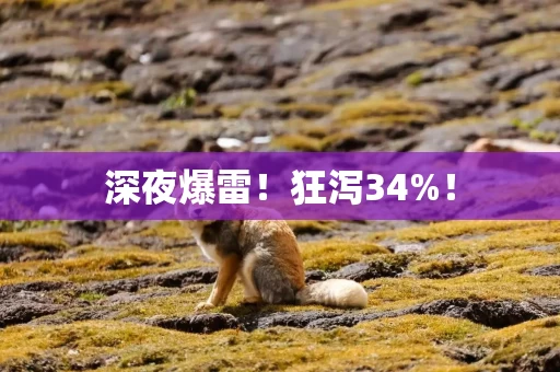 深夜爆雷！狂泻34%！