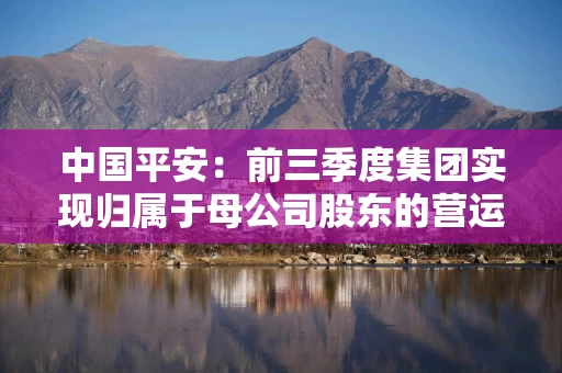 中国平安：前三季度集团实现归属于母公司股东的营运利润1138.18亿元，同比增长5.5%