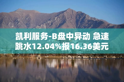 凯利服务-B盘中异动 急速跳水12.04%报16.36美元