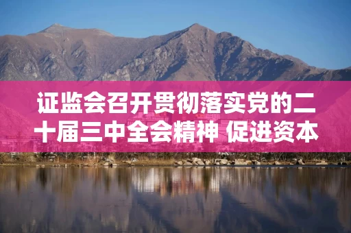 证监会召开贯彻落实党的二十届三中全会精神 促进资本市场平稳健康发展座谈会