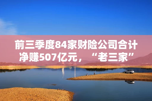 前三季度84家财险公司合计净赚507亿元，“老三家”占比超八成