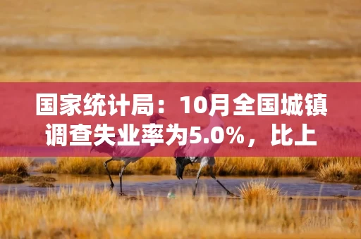 国家统计局：10月全国城镇调查失业率为5.0%，比上月下降0.1个百分点