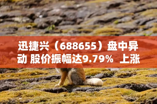 迅捷兴（688655）盘中异动 股价振幅达9.79%  上涨7.15%（06-24）