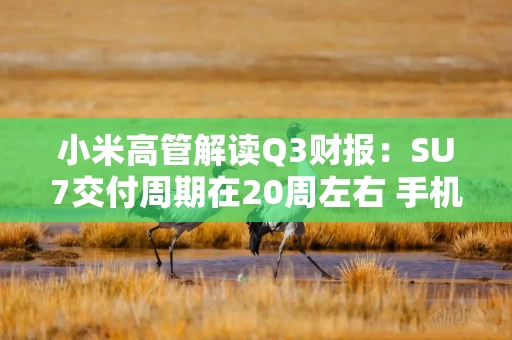 小米高管解读Q3财报：SU7交付周期在20周左右 手机毛利率下季度会反弹