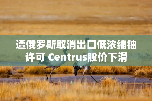 遭俄罗斯取消出口低浓缩铀许可 Centrus股价下滑