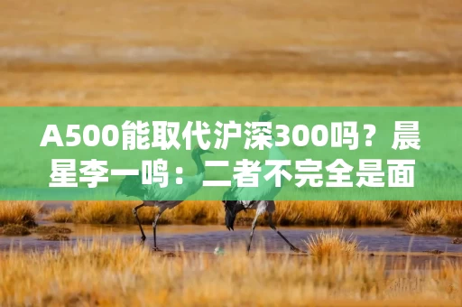 A500能取代沪深300吗？晨星李一鸣：二者不完全是面对面竞争关系，建议选跟踪误差小、费率低、大于5亿的基金