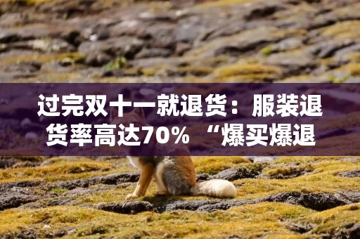 过完双十一就退货：服装退货率高达70% “爆买爆退”搞崩运费险