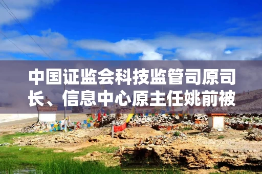 中国证监会科技监管司原司长、信息中心原主任姚前被开除党籍和公职