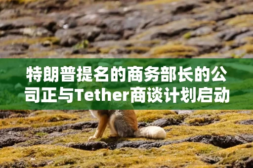 特朗普提名的商务部长的公司正与Tether商谈计划启动一项 20 亿美元的比特币贷款项目