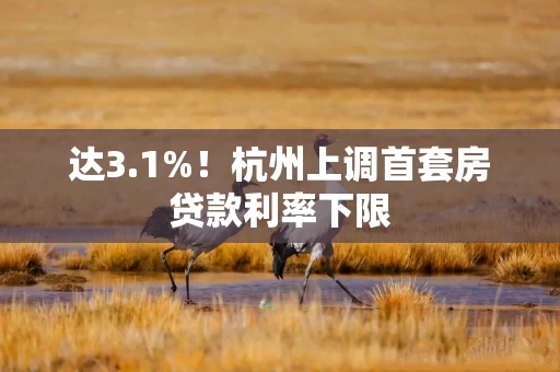 达3.1%！杭州上调首套房贷款利率下限