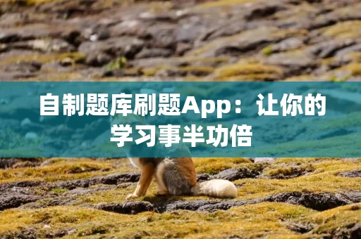 自制题库刷题App：让你的学习事半功倍