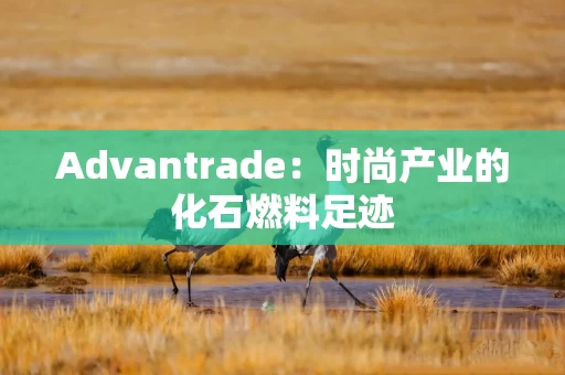 Advantrade：时尚产业的化石燃料足迹