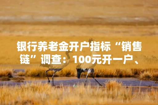 银行养老金开户指标“销售链”调查：100元开一户、量大从优⋯⋯有商家称：“保证3个月不销户”