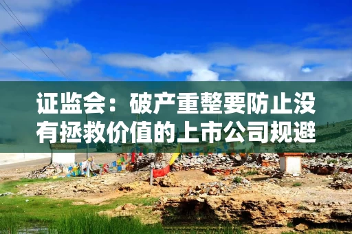 证监会：破产重整要防止没有拯救价值的上市公司规避市场出清以及逃废债务