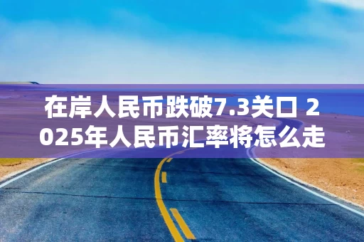 在岸人民币跌破7.3关口 2025年人民币汇率将怎么走？