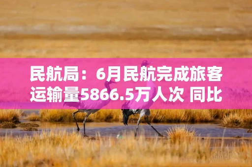 民航局：6月民航完成旅客运输量5866.5万人次 同比增长10.5%