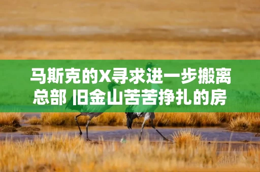 马斯克的X寻求进一步搬离总部 旧金山苦苦挣扎的房地产市场再遭打击