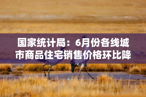 国家统计局：6月份各线城市商品住宅销售价格环比降幅总体收窄