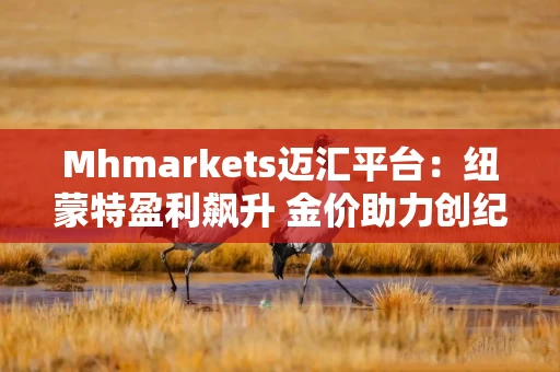 Mhmarkets迈汇平台：纽蒙特盈利飙升 金价助力创纪录