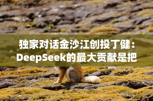 独家对话金沙江创投丁健：DeepSeek的最大贡献是把价格打了下来