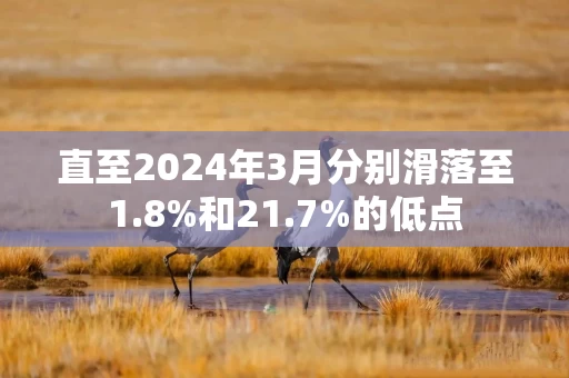 直至2024年3月分别滑落至1.8%和21.7%的低点