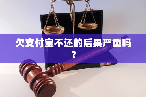 欠支付宝不还的后果严重吗？