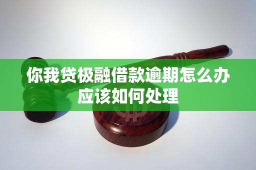 你我贷极融借款逾期怎么办应该如何处理