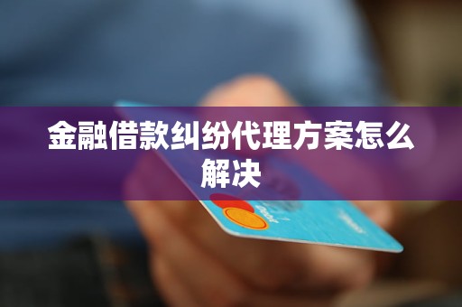 金融借款纠纷     方案怎么解决