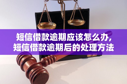 短信借款逾期应该怎么办,短信借款逾期后的处理     及注意事项